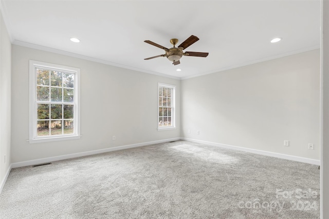 spare room featuring ceiling fan, ornamental molding, and carpet floors