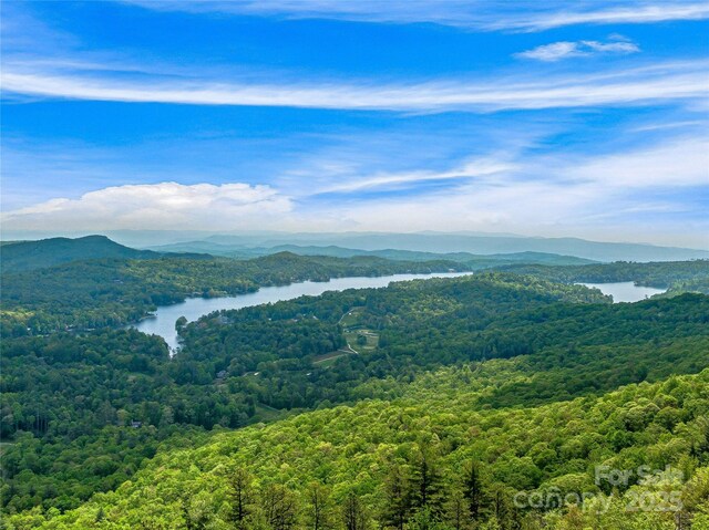 TBD Toxaway Dr Unit 118, Lake Toxaway, NC 28747