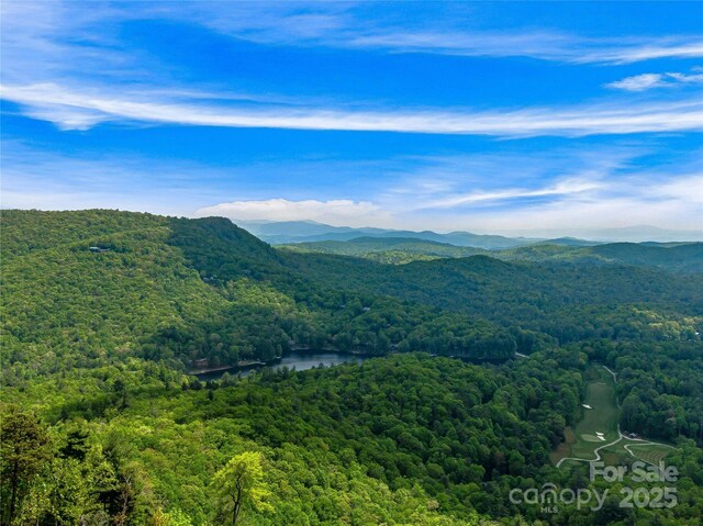TBD Toxaway Dr Unit 118, Lake Toxaway, NC 28747