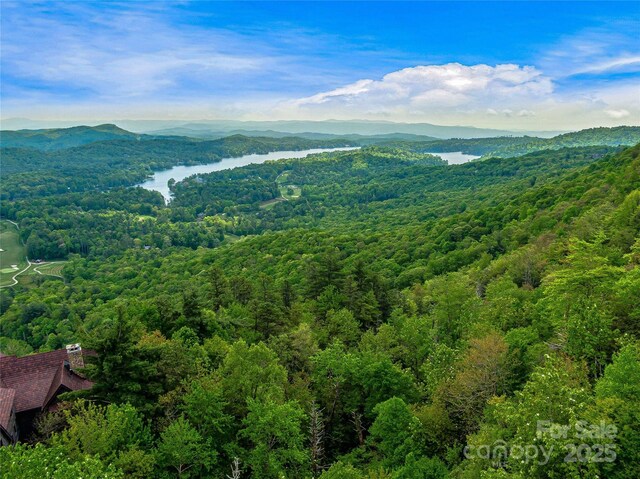 TBD Toxaway Dr Unit 118, Lake Toxaway, NC 28747