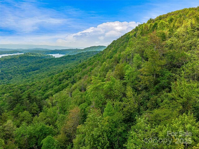 TBD Toxaway Dr Unit 118, Lake Toxaway, NC 28747