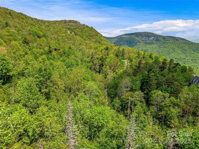 TBD Toxaway Dr Unit 118, Lake Toxaway, NC 28747