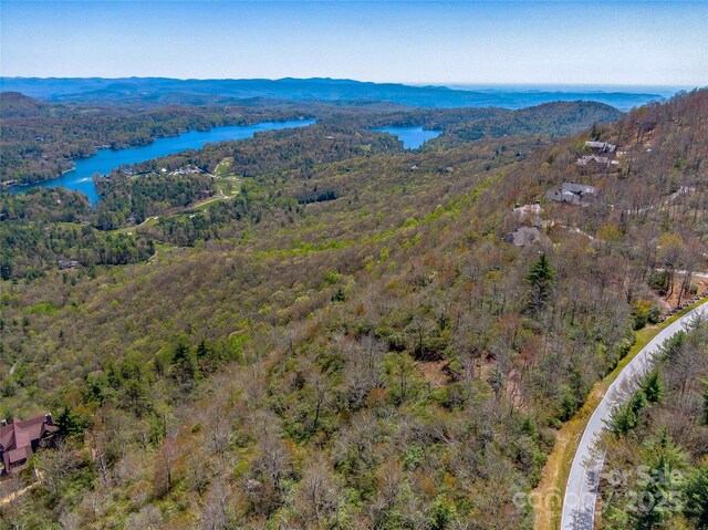 TBD Toxaway Dr Unit 118, Lake Toxaway, NC 28747