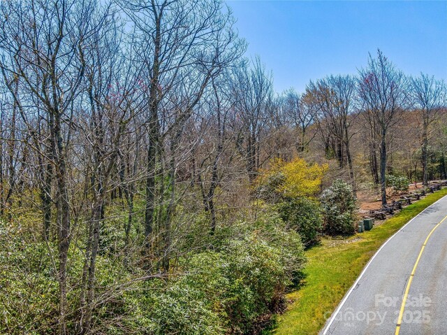 TBD Toxaway Dr Unit 118, Lake Toxaway, NC 28747