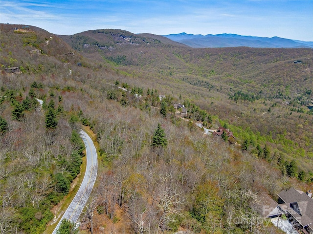 TBD Toxaway Dr Unit 118, Lake Toxaway, NC 28747