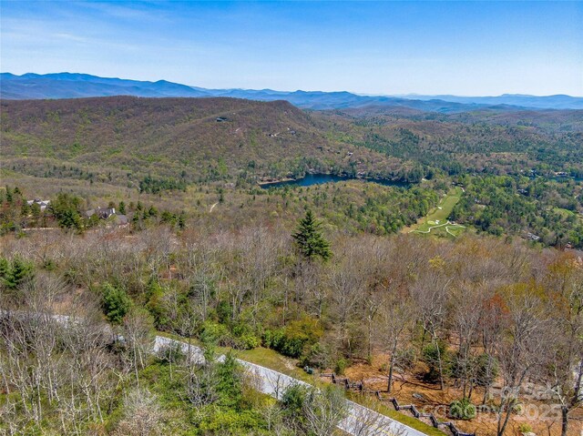 TBD Toxaway Dr Unit 118, Lake Toxaway, NC 28747