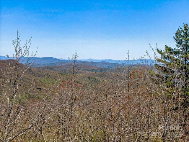 TBD Toxaway Dr Unit 118, Lake Toxaway, NC 28747