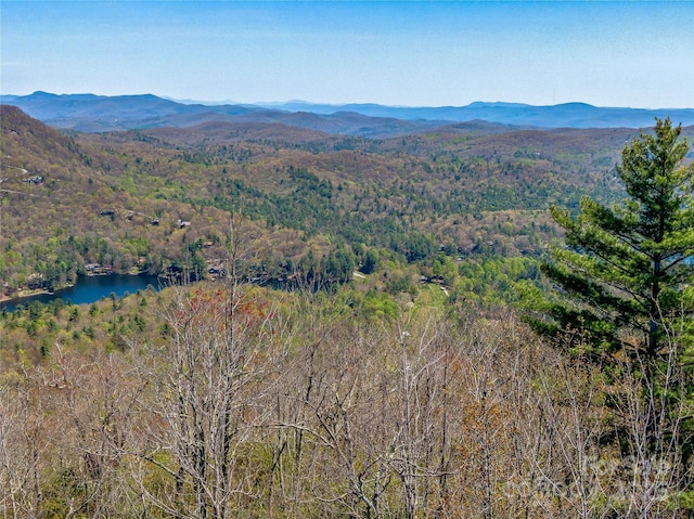 TBD Toxaway Dr Unit 118, Lake Toxaway, NC 28747