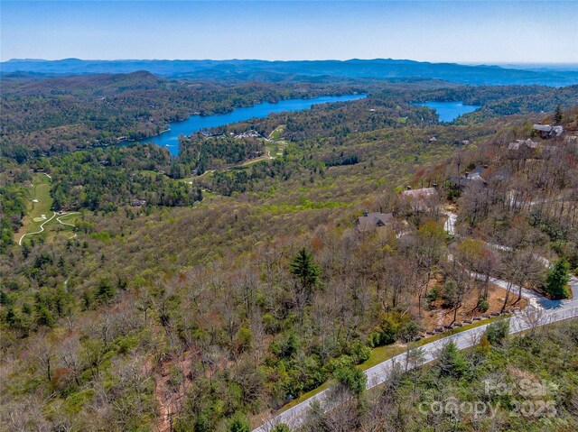 TBD Toxaway Dr Unit 118, Lake Toxaway, NC 28747