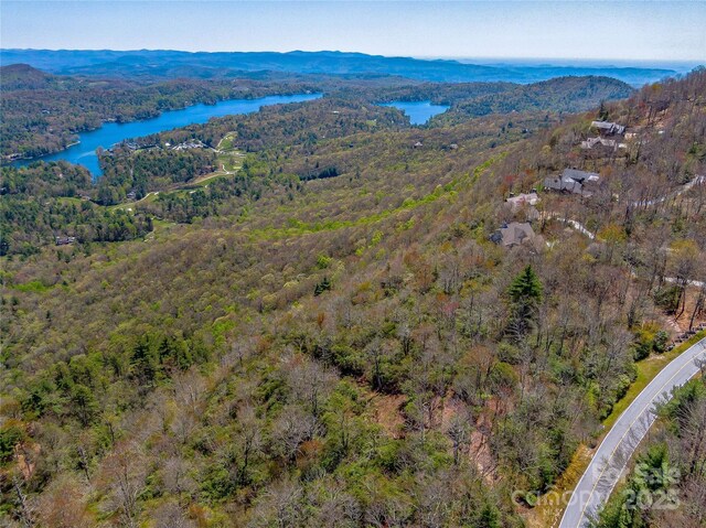 TBD Toxaway Dr Unit 118, Lake Toxaway, NC 28747