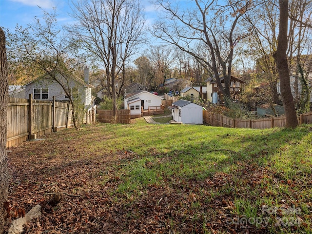 view of yard featuring a storage shed