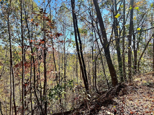 00 Kendell Town Rd, Ferguson, NC 28624
