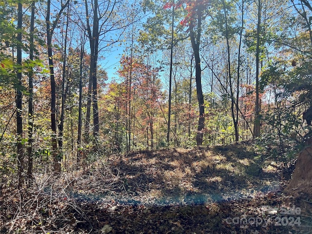 00 Kendell Town Rd, Ferguson, NC 28624
