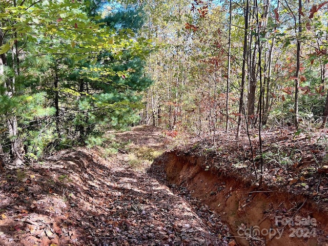 00 Kendell Town Rd, Ferguson, NC 28624