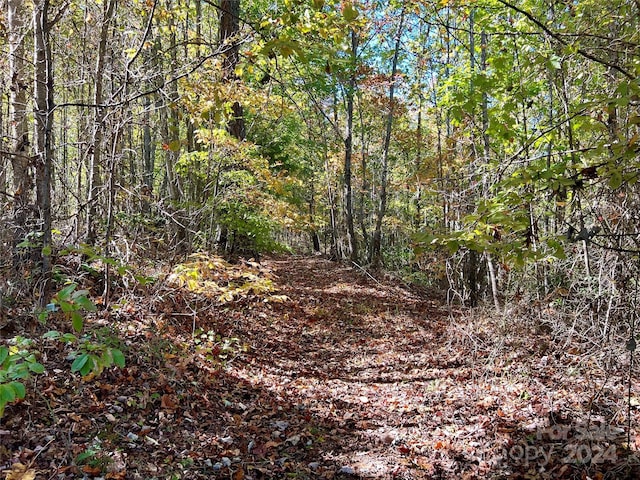 00 Kendell Town Rd, Ferguson, NC 28624