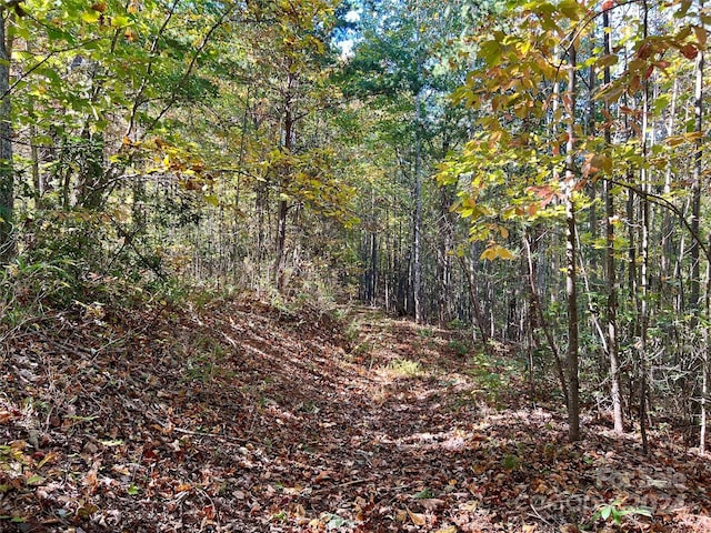 00 Kendell Town Rd, Ferguson, NC 28624