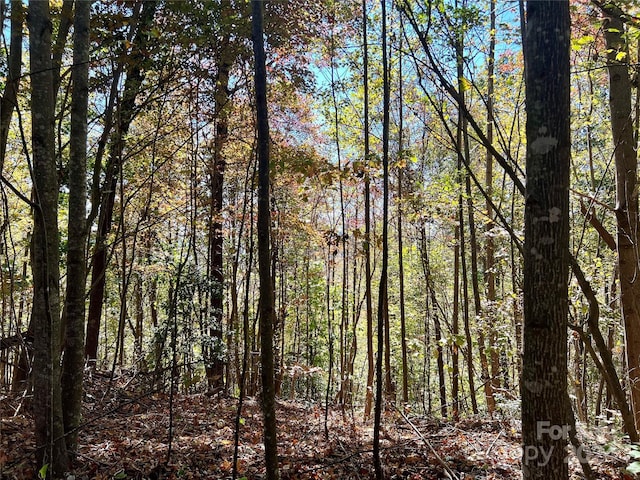 00 Kendell Town Rd, Ferguson, NC 28624