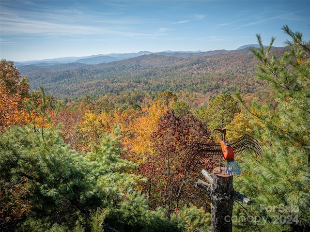 view of mountain feature