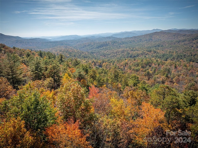 view of mountain feature