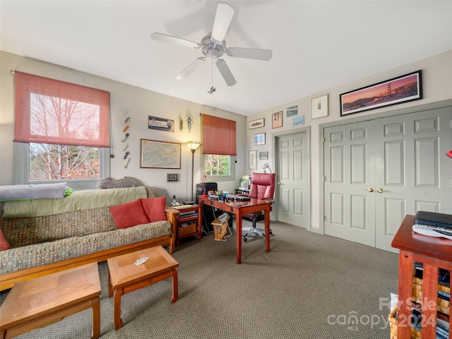 carpeted bedroom with multiple windows, two closets, and ceiling fan