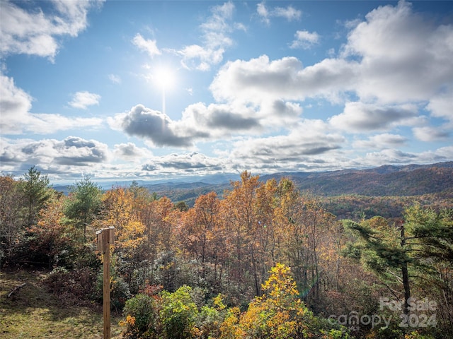 property view of mountains