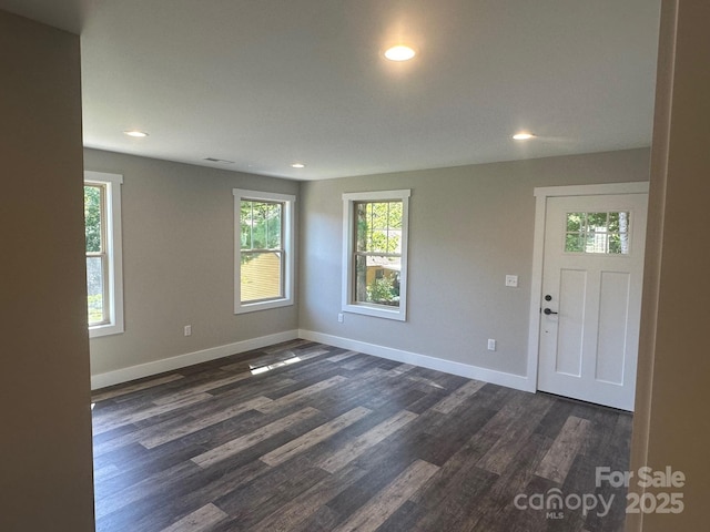 entryway featuring dark wood-type flooring and plenty of natural light