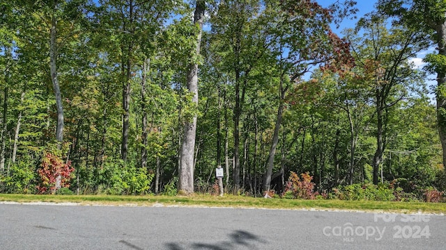 Listing photo 2 for LOT62 Mountain Grove Ln Unit 62, Fletcher NC 28732