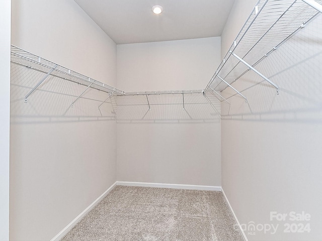 walk in closet featuring carpet flooring