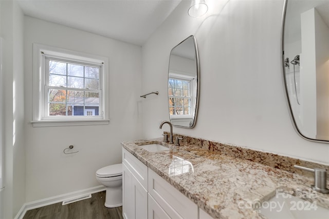 bathroom with vanity, wood-type flooring, and toilet