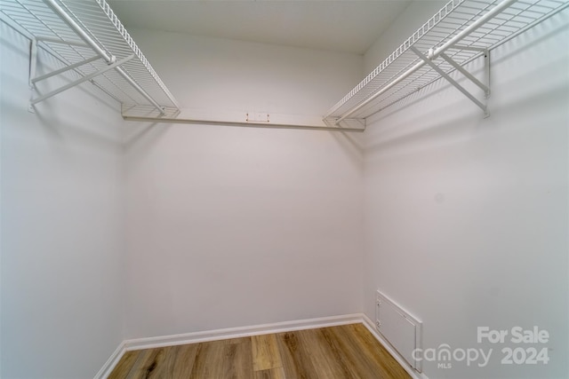 spacious closet with wood-type flooring