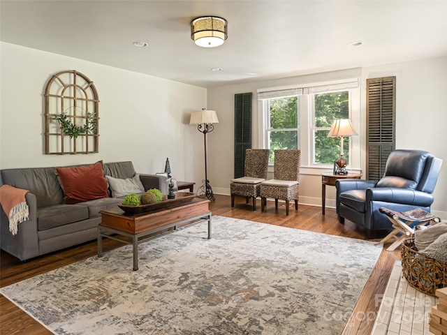 living room with wood-type flooring