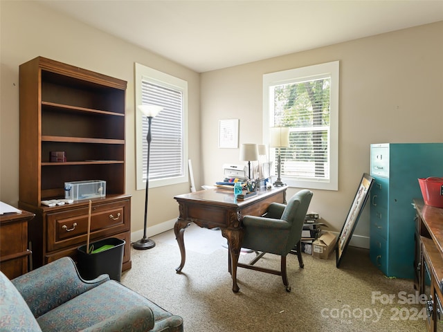 office area featuring light colored carpet