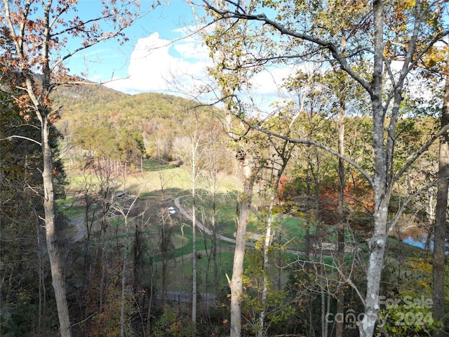 view of local wilderness with a mountain view