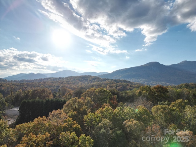 view of mountain feature