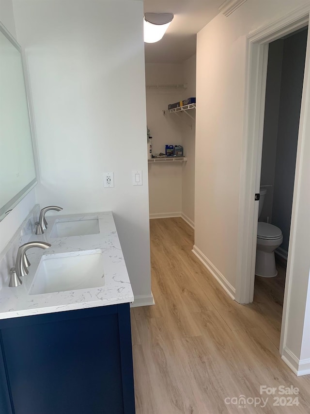 bathroom featuring vanity, toilet, and wood-type flooring