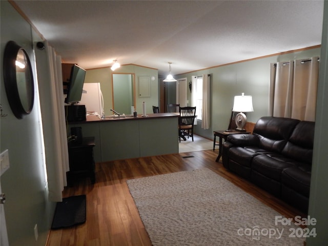 living room with lofted ceiling and hardwood / wood-style floors