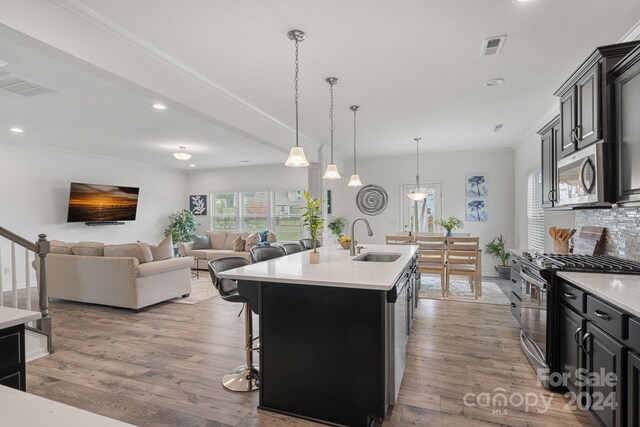 kitchen with a center island with sink, light hardwood / wood-style flooring, stainless steel appliances, and sink