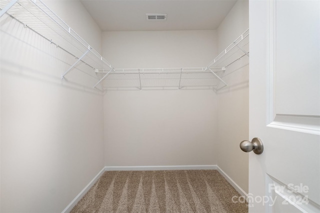 walk in closet featuring carpet floors