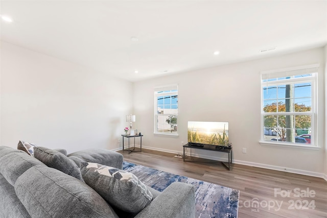 living room with wood-type flooring and a healthy amount of sunlight