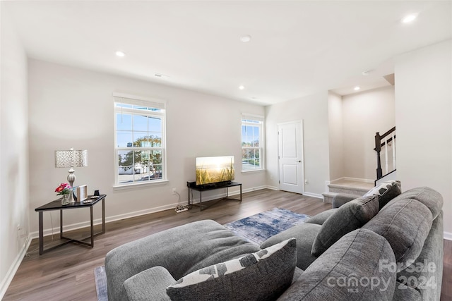 living room with hardwood / wood-style floors and plenty of natural light