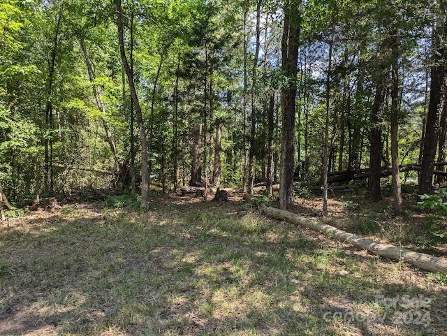 Listing photo 2 for TBD Charlie Stacks Rd, Lancaster SC 29720