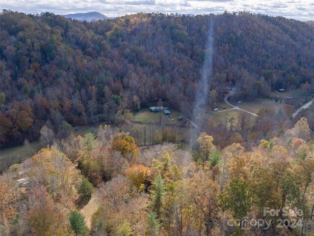 1922 Zacks Fork Rd, Lenoir, NC 28645 - view of mountain background featuring a heavily wooded area
