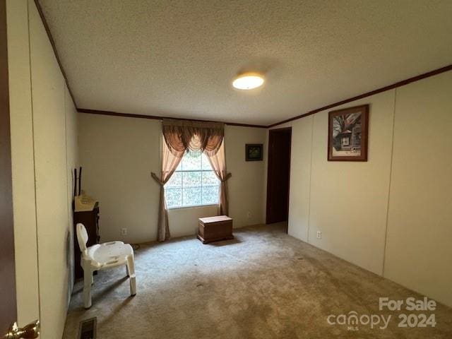 unfurnished room featuring a textured ceiling, carpet flooring, and ornamental molding