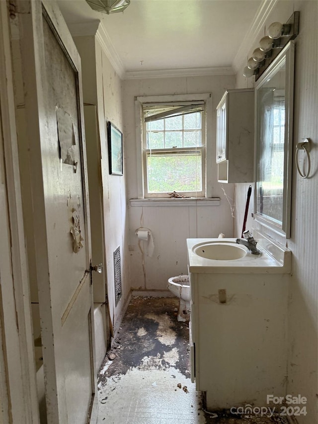 bathroom featuring vanity, toilet, and ornamental molding