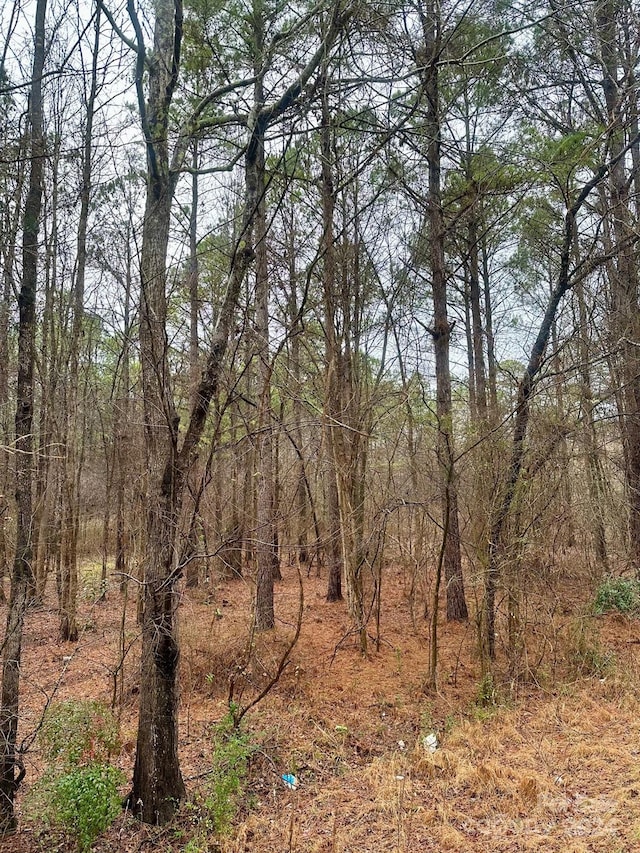 view of local wilderness