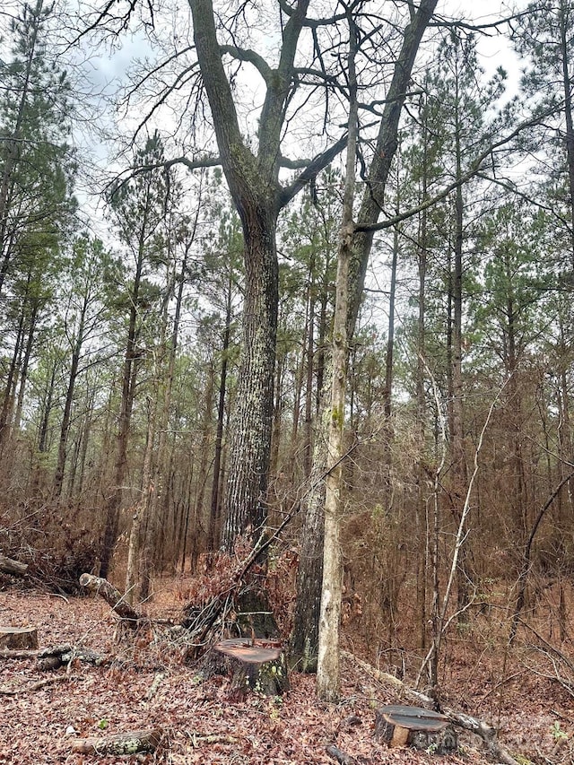 view of local wilderness