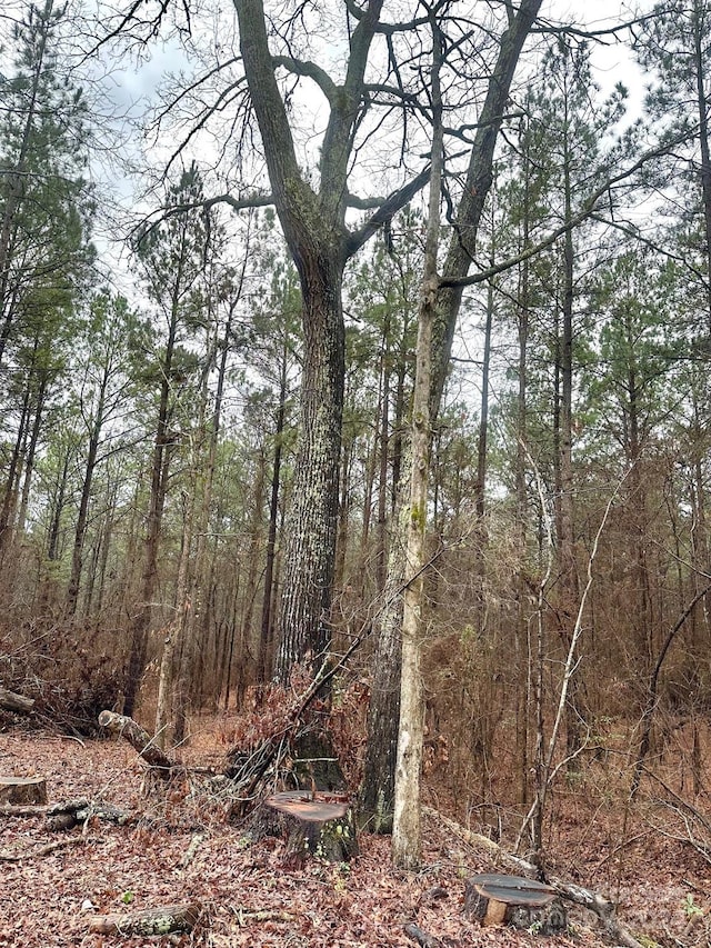 1178 Great Falls Highway, Chester, SC 29706 - photo 3