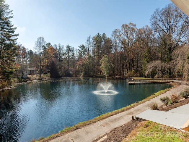 property view of water