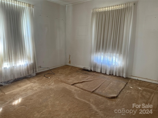 spare room with a wealth of natural light and carpet floors