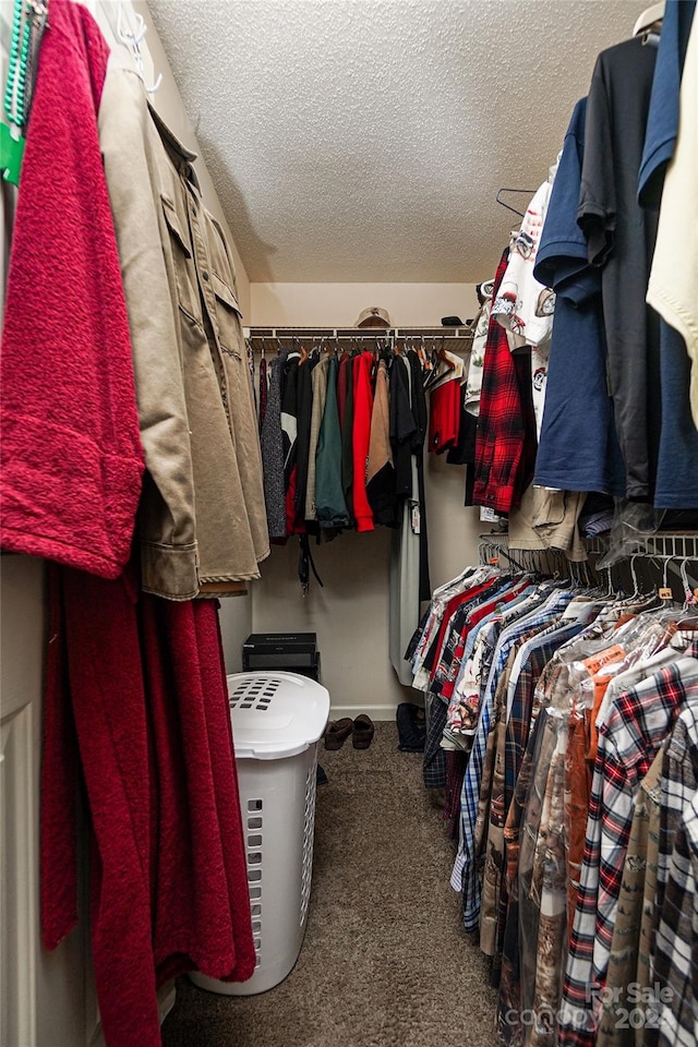 walk in closet featuring carpet floors